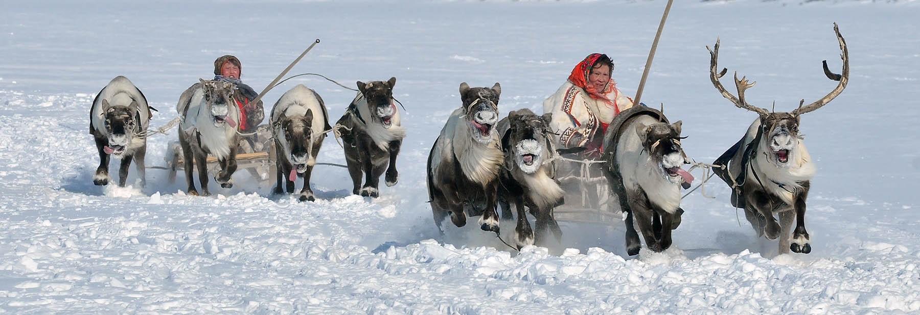 Развитие традиционных отраслей