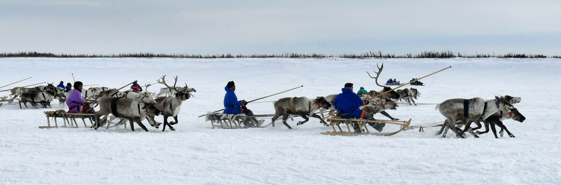 Работа с жалобами коренных малочисленных народов